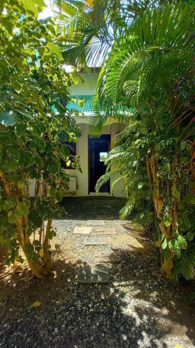 Kaz' Iguana: Maison Creole Privative, Quartier Golf St Francois